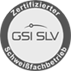 GSI SLV